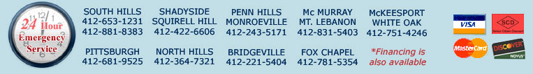 phone numbers