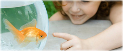 culligan_fish